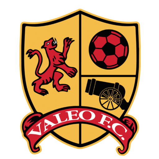 https://valeofcemirates.com/wp-content/uploads/2022/08/cropped-valeo-logo-small.png
